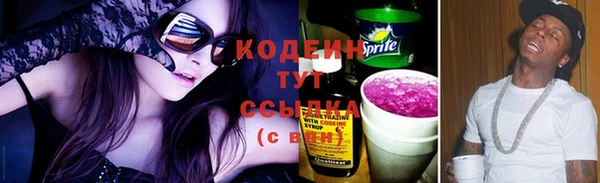 дмт Арсеньев