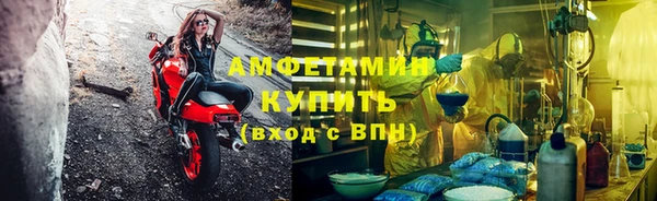 гашик Покровск