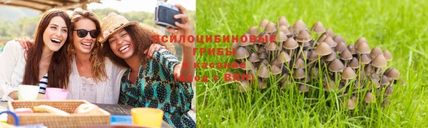 прущий лед Аркадак